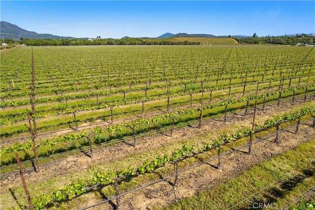1650 Bell Hill Rd, Kelseyville, CA 95451 - photo 2