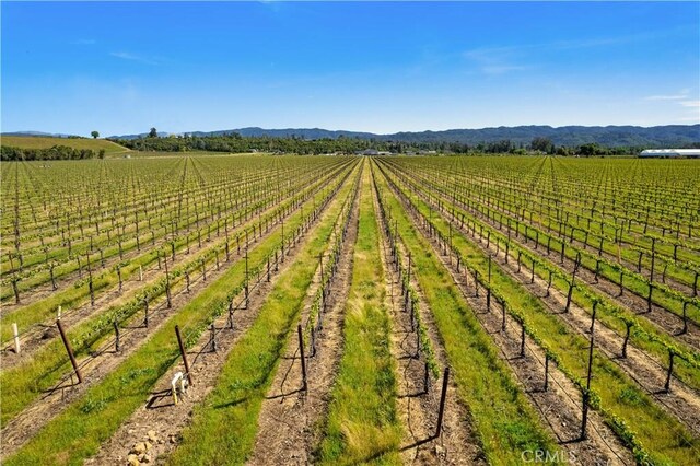 1650 Bell Hill Rd, Kelseyville, CA 95451 - photo 26