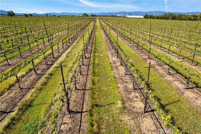1650 Bell Hill Rd, Kelseyville, CA 95451 - photo 23