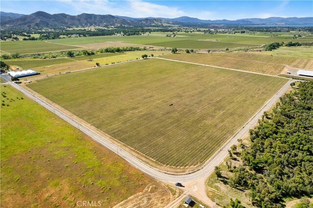 1650 Bell Hill Rd, Kelseyville, CA 95451 - photo 8