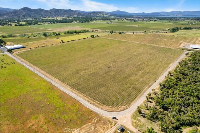 1650 Bell Hill Rd, Kelseyville, CA 95451 - photo 10