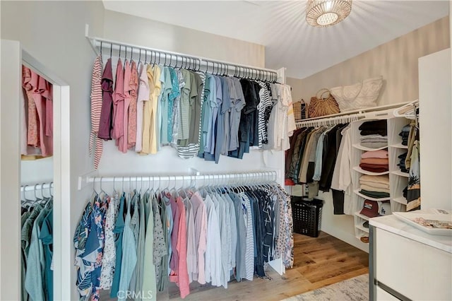 walk in closet with wood finished floors