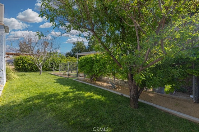 266 N 14th St, Banning, CA 92220 - view of yard