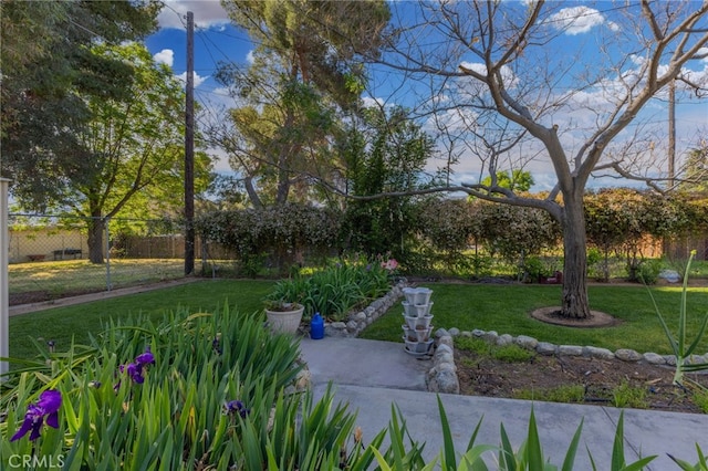 266 N 14th St, Banning, CA 92220 - view of yard