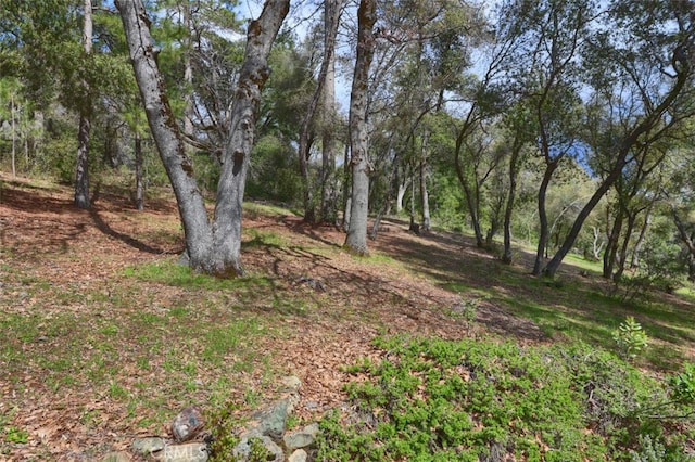 view of landscape