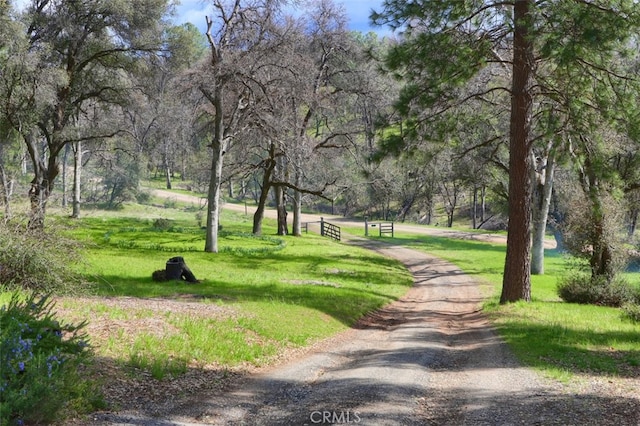 view of home's community with a lawn