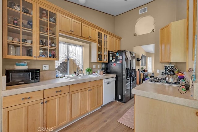 25351 Chicago Ave, Hemet, CA 92544 - kitchen featuring light brown cabinets, a wealth of natural light, black appliances, visible vents, and a sink