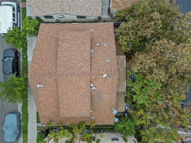 2619 Trinity St, Los Angeles, CA 90011 - photo 26
