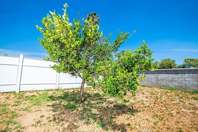 25176 Silent Creek Rd, Moreno Valley, CA 92553 - view of yard with fence