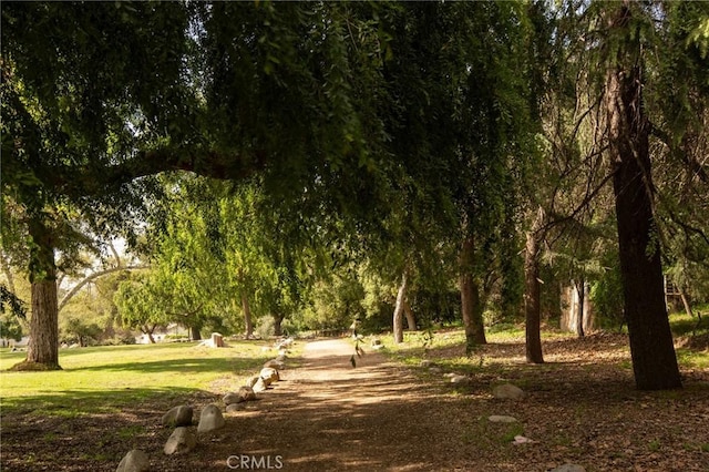 521 Fremont Dr, Pasadena, CA 91103 - view of community featuring a lawn