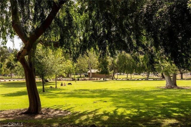 521 Fremont Dr, Pasadena, CA 91103 - surrounding community featuring a lawn