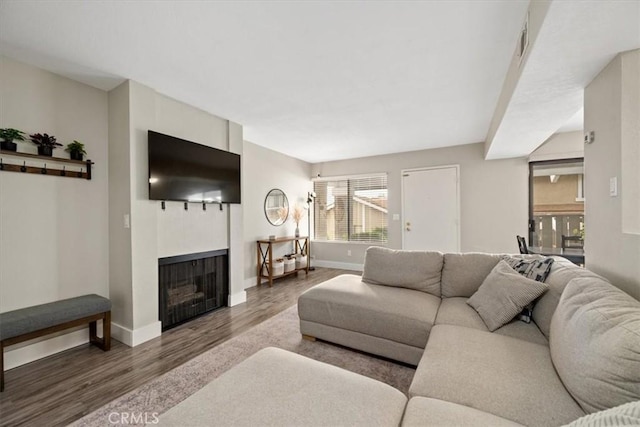living room featuring wood finished floors, a fireplace, and baseboards