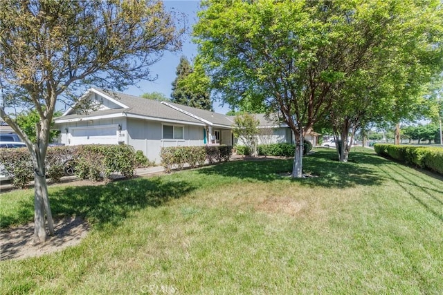 3110 Mckee Rd, Merced, CA 95340 - ranch-style house with a front lawn