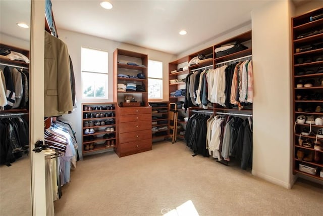 spacious closet with light colored carpet