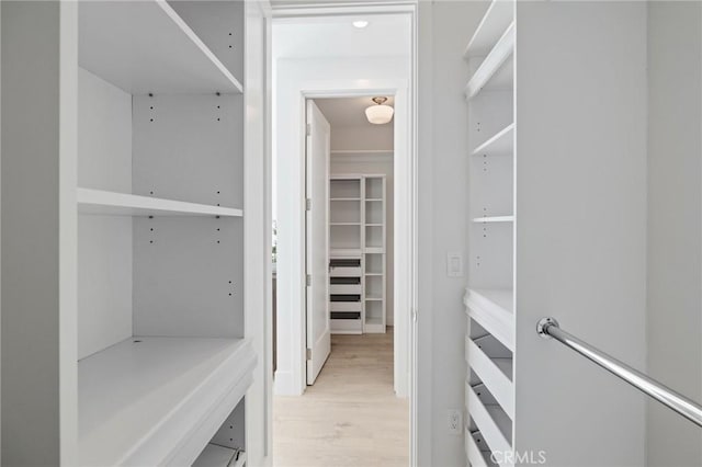 spacious closet with light wood finished floors