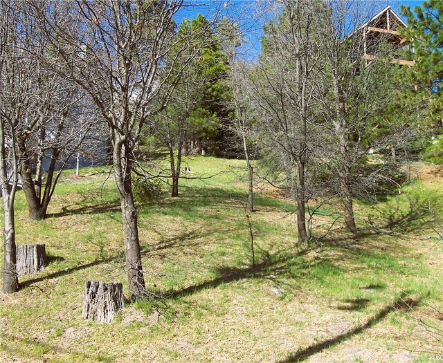 0 St Bernard Ln, Lake Arrowhead, CA 92352