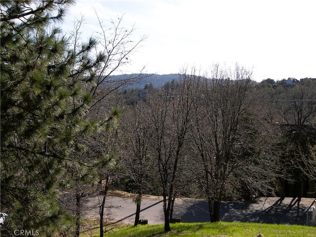 0 St Bernard Ln, Lake Arrowhead, CA 92352