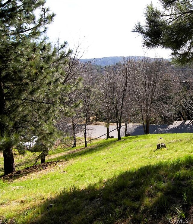0 St Bernard Ln, Lake Arrowhead, CA 92352