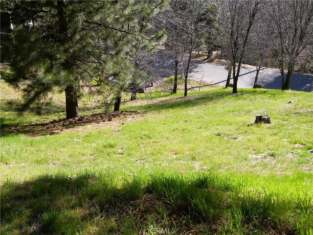 0 St Bernard Ln, Lake Arrowhead, CA 92352