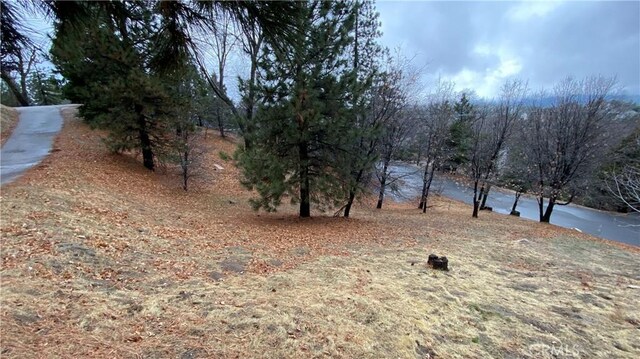 0 St Bernard Ln, Lake Arrowhead, CA 92352
