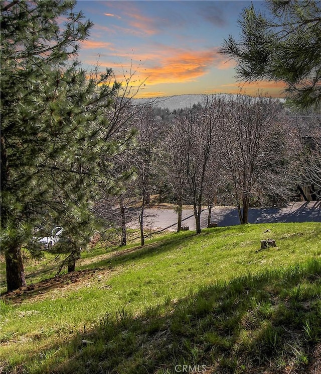 0 St Bernard Ln, Lake Arrowhead, CA 92352