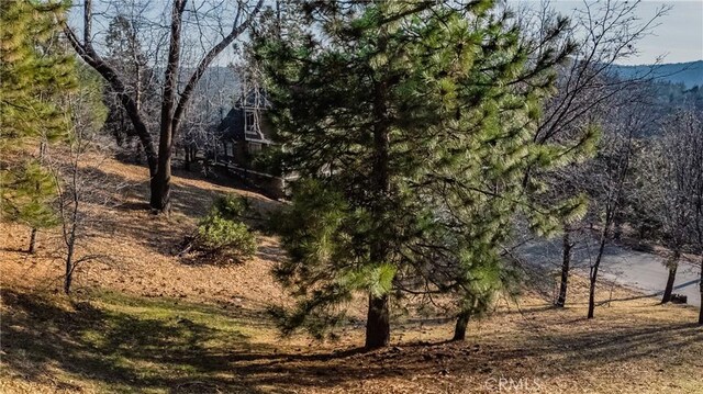 0 St Bernard Ln, Lake Arrowhead, CA 92352