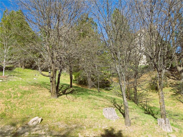 0 St Bernard Ln, Lake Arrowhead, CA 92352