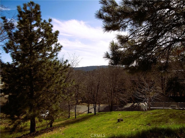 0 St Bernard Ln, Lake Arrowhead, CA 92352