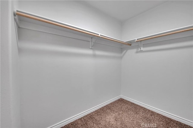 29605 Camino Cristal, Menifee, CA 92584 - walk in closet featuring carpet floors