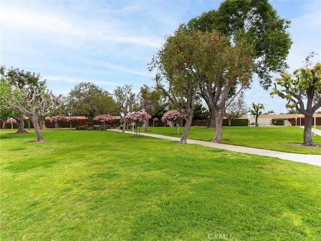 13061 Oak Hill Dr Unit 221B, Seal Beach, CA 90740 - exterior space
