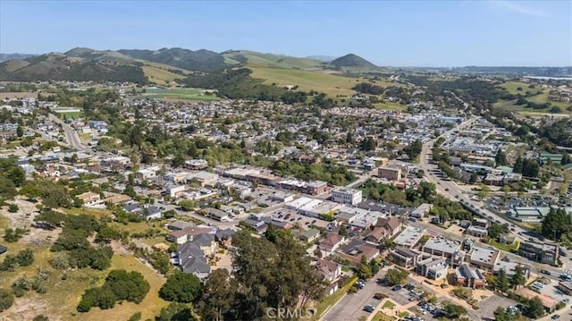 birds eye view of property with a mountain view