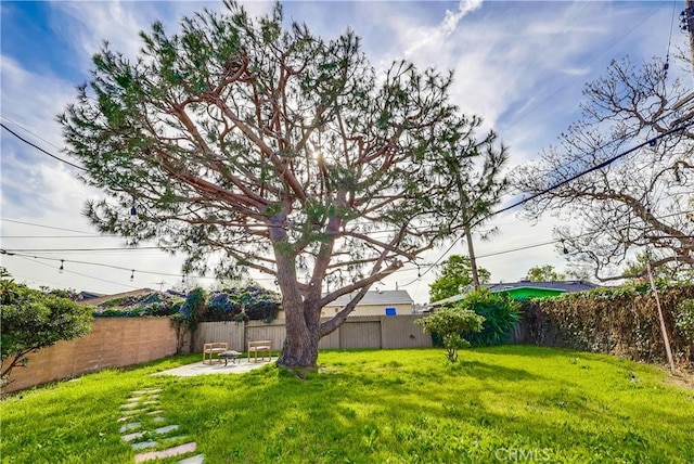 view of yard with a patio area and a fenced backyard