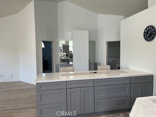 bathroom featuring wood finished floors, vanity, and high vaulted ceiling