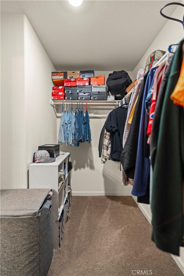 spacious closet featuring carpet