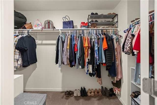 walk in closet with carpet