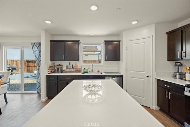 kitchen featuring a wealth of natural light, dishwasher, a sink, and wood finished floors