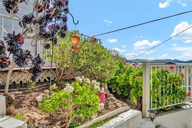 view of yard featuring a vegetable garden