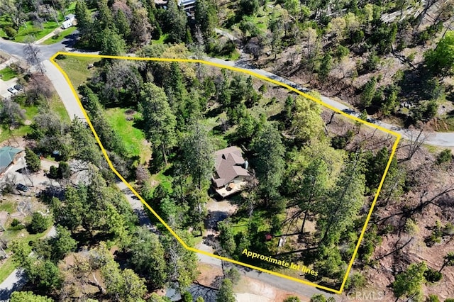 36575 Mudge Ranch Rd, Coarsegold, CA 93614 - birds eye view of property