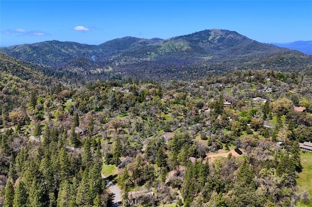36575 Mudge Ranch Rd, Coarsegold, CA 93614 - view of mountain feature with a view of trees