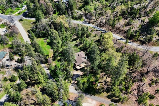 36575 Mudge Ranch Rd, Coarsegold, CA 93614 - drone / aerial view