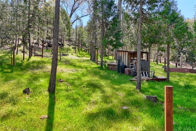36575 Mudge Ranch Rd, Coarsegold, CA 93614 - view of yard with an outdoor structure and a storage unit