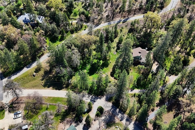 36575 Mudge Ranch Rd, Coarsegold, CA 93614 - aerial view