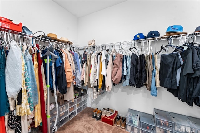 walk in closet with carpet floors