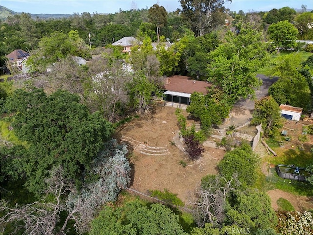 drone / aerial view
