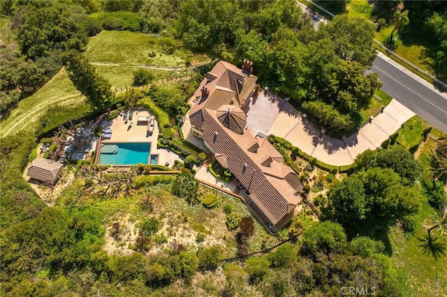 bird's eye view