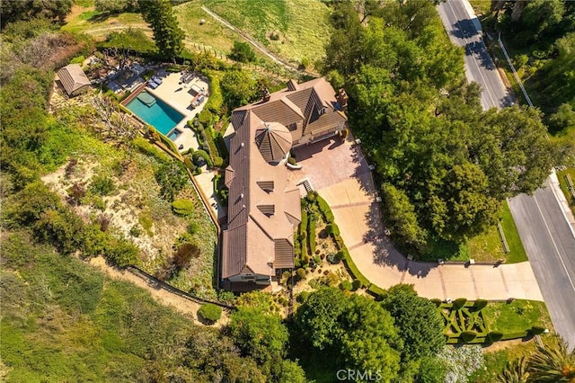 aerial view