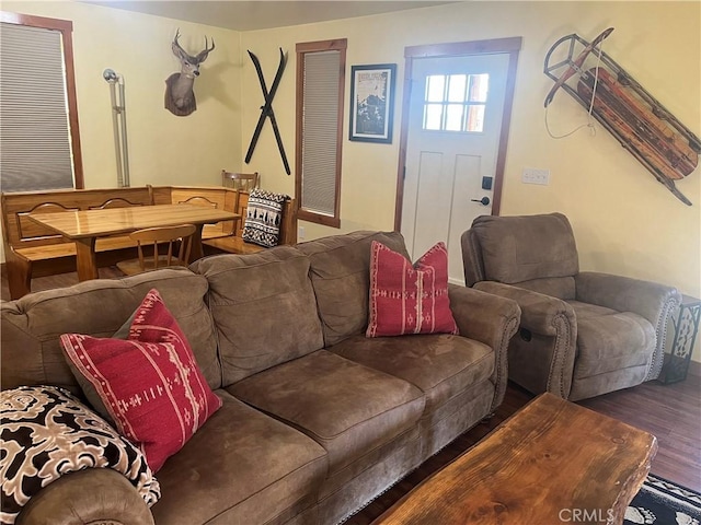 living area featuring wood finished floors