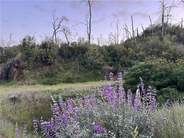 19075 State Highway 175, Middletown, CA 95461 - photo 7