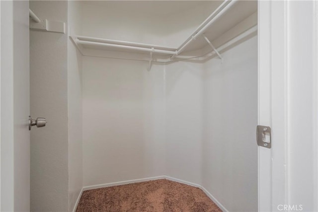 11962 Verona Dr, Fontana, CA 92337 - walk in closet featuring carpet
