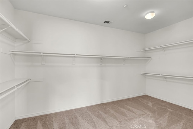 16569 Sugar Ln, Fontana, CA 92337 - spacious closet with carpet